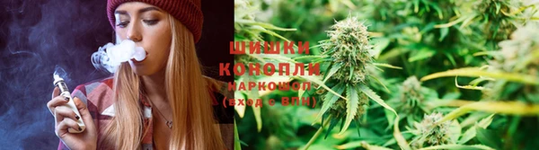 гашик Володарск