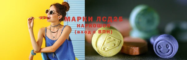 гашик Володарск