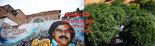 гашик Володарск